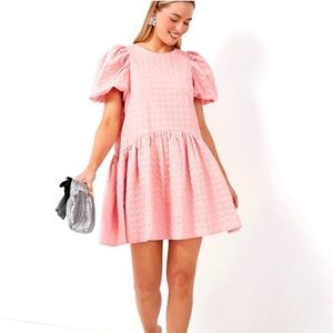 Never Worn: Tuckernuck Pink Penelope Mini dress
